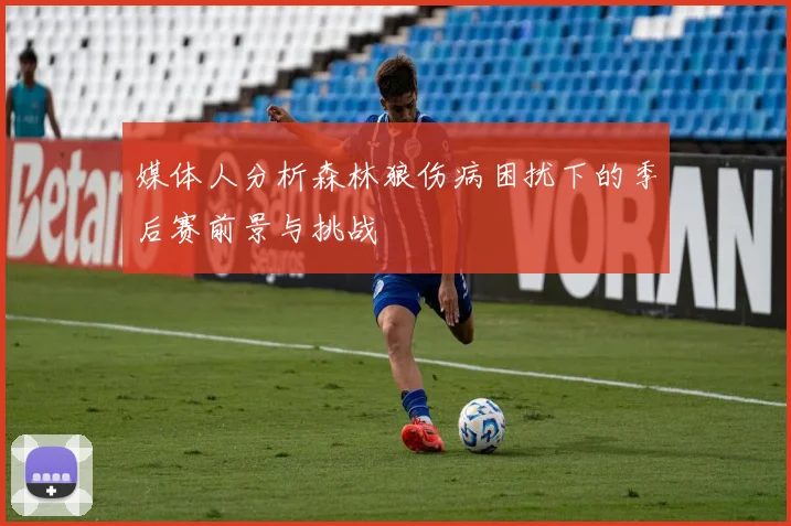 媒体人分析森林狼伤病困扰下的季后赛前景与挑战